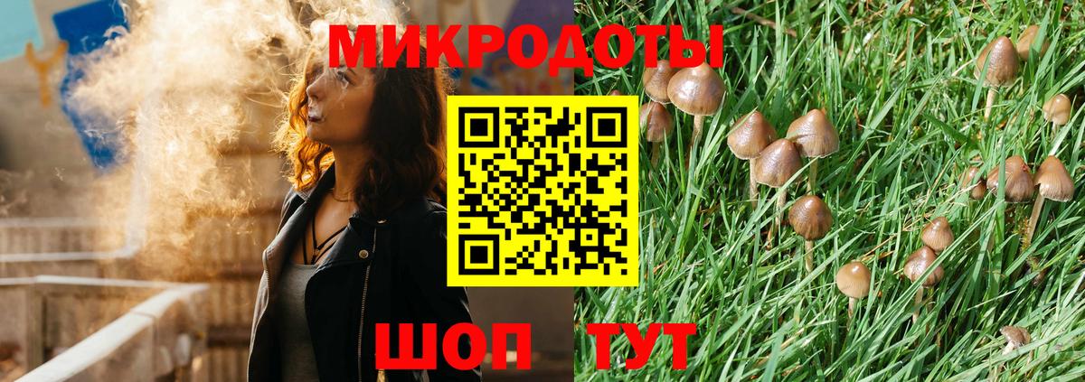 Псилоцибиновые грибы GOLDEN TEACHER  Псилоцибиновые грибы MAGIC MUSHROOMS  Комсомольск-на-Амуре  Вход с VPN 